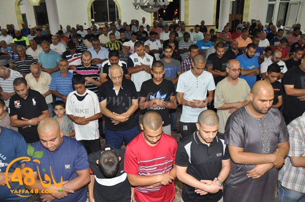 tarawee7 3ajamiwj (2).JPG